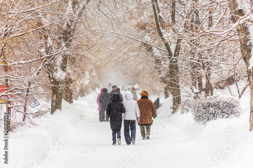 People walk along the alley of the city Park. Winter day. On the branches of trees and on the track is snow.