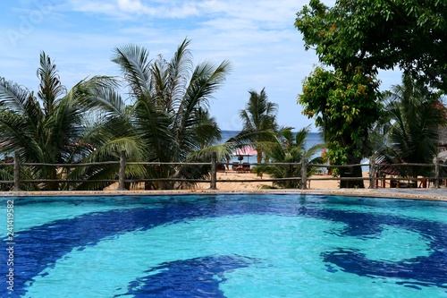 Swimming pool surrounded by tropical greenery