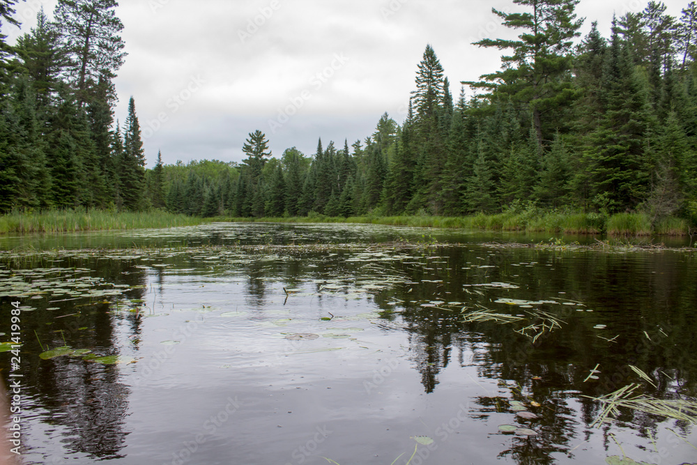Obraz premium BWCAW