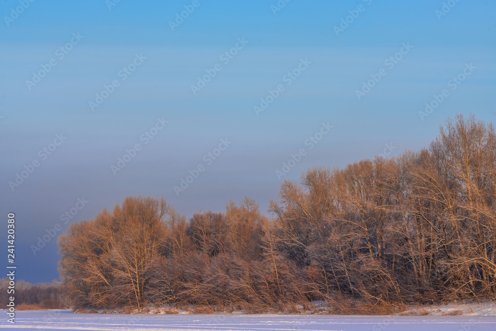 picturesque view of snow-covered forest on field at winter day picturesque view of snow-covered forest on field at winter day