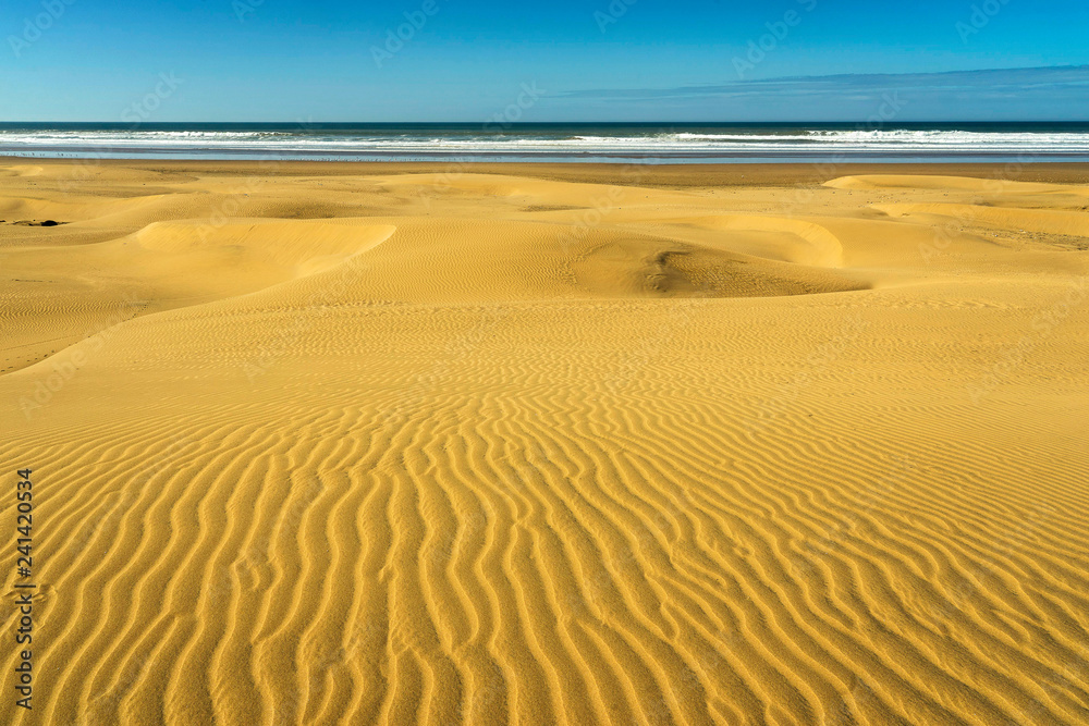 beach of Kaouki on the atlantic coast of the Morocco
