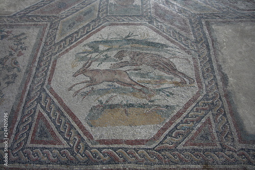 Villa romana di Desenzano del Garda, mosaici