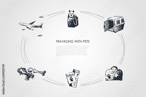 Traveling with pets - dog in bag, carrier, veterinary kit, pets ticket and toys vector concept set