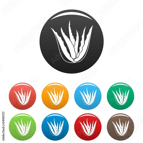 Aloe vera plant icons set 9 color vector isolated on white for any design