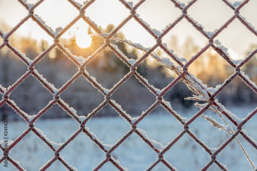 sunrise view through the mesh of the fence covered with frost and snow