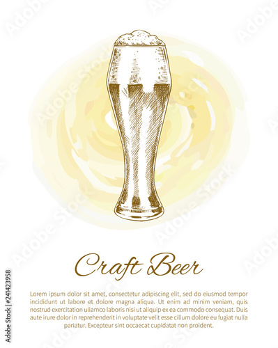 Pilsner Craft Beer Glass on Color Plash Poster