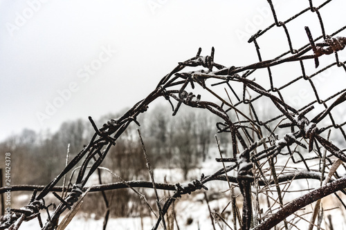  Frozen barbed wire covered with snow. In the winter.