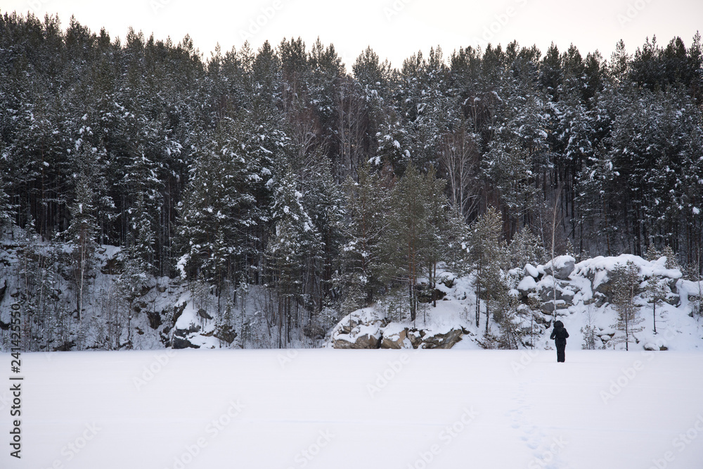 man in forest during snow storm man in forest during snow storm