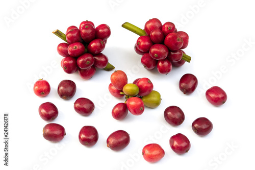 Red ripe coffee beans on white background