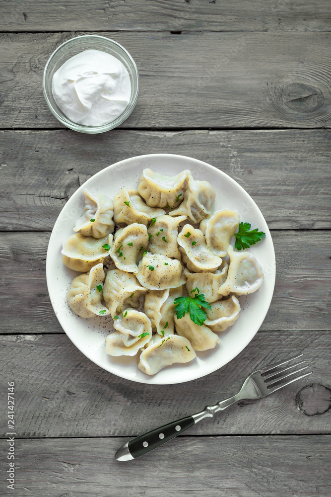 Homemade Meat Dumplings Homemade Meat Dumplings