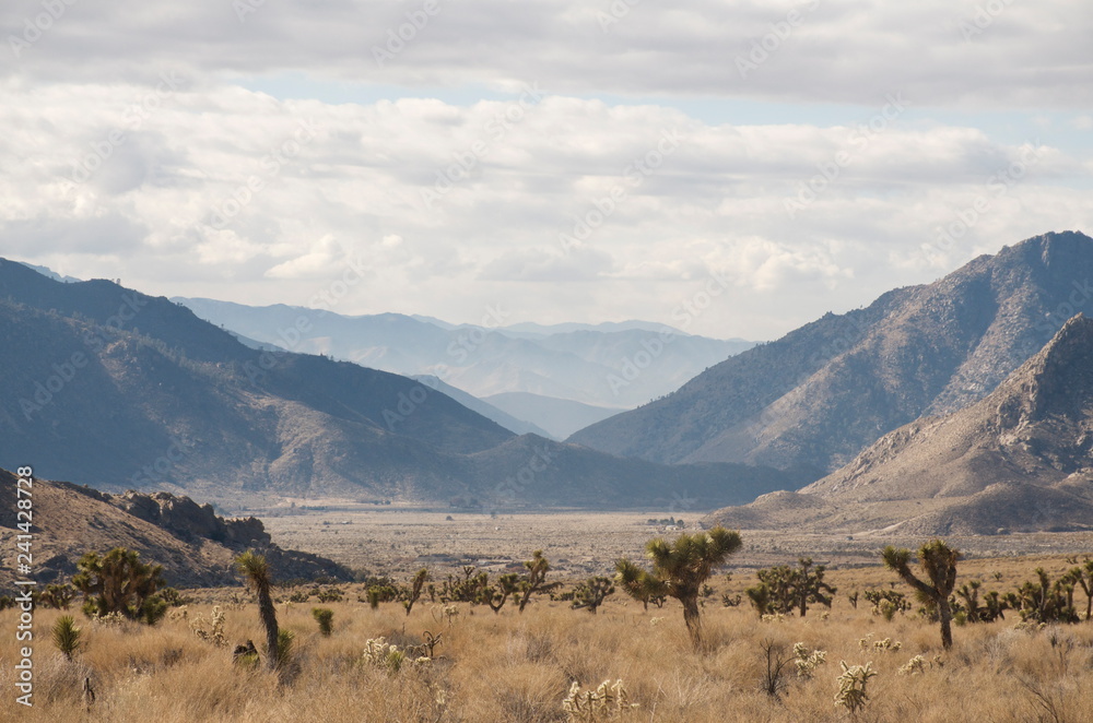 landscape of mountains