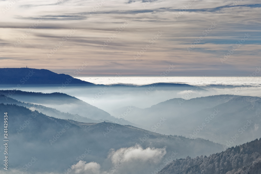 Brouillard dans les vallées des Vosges