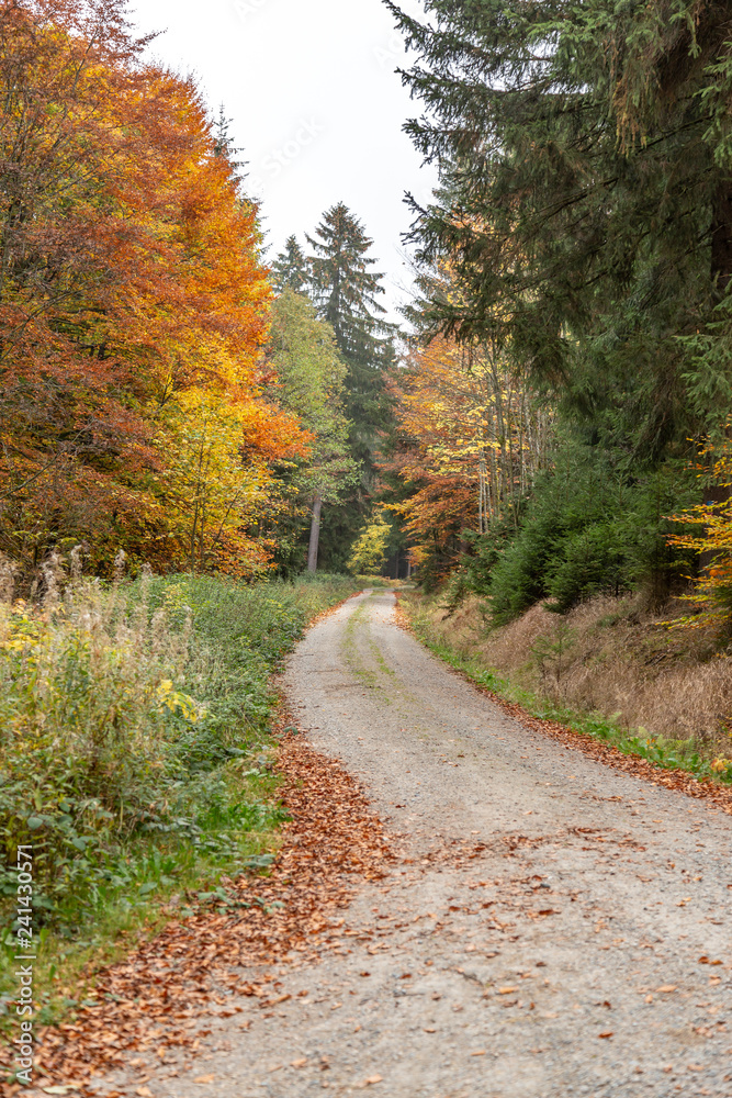 Obraz premium Hiking Trails in Bavaria