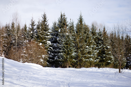 Russia, Tatarstan, Kazan. Winter landscape in the suburbs of Kazan.