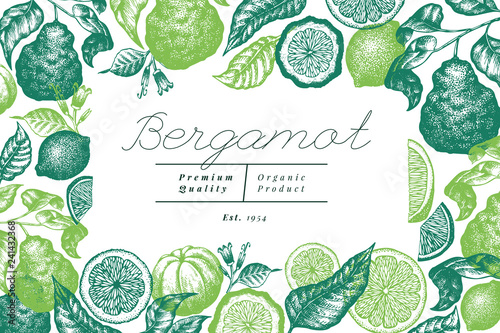 Bergamot branch design template. Kaffir lime frame. Hand drawn vector fruit illustration. Engraved style vintage citrus background.