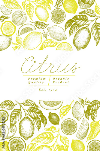 Vintage citrus banner template. Lemon tree design. Hand drawn vector fruit illustration. Engraved style menu cover.
