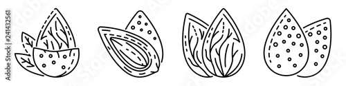 Almond icon set. Outline set of almond vector icons for web design isolated on white background