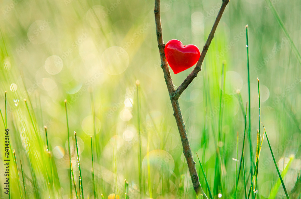 Red heart in nature with wonderful morning drops background and beautiful  light. Original wallpaper or postcard for wedding or valentine day, with  space for quote. Stock Photo | Adobe Stock