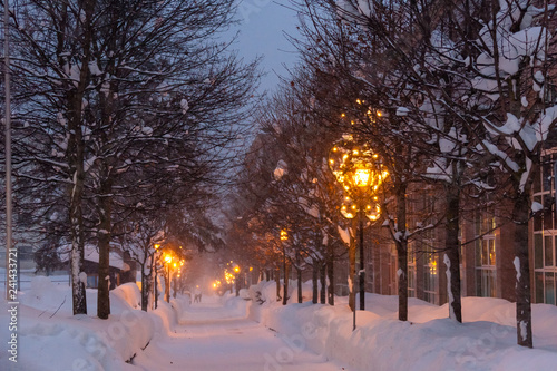Swiss cold winter streetlights snow © kisstock