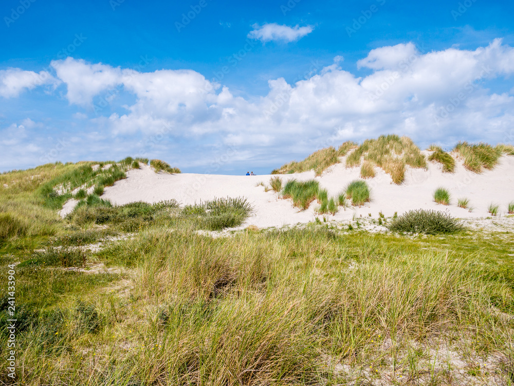 Rear view of two people sitting together on sand dune in nature reserve Het Oerd on West Frisian island Ameland, Friesland, Netherlands