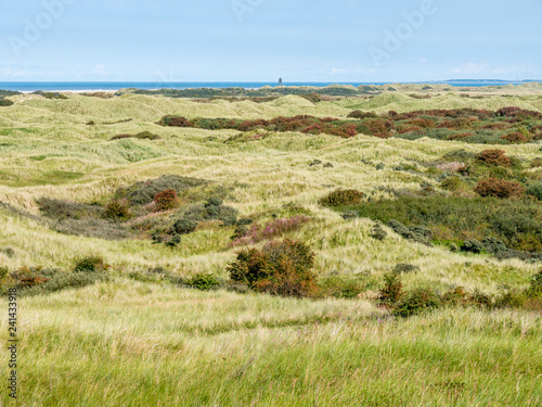 Dunes and North Sea coast of nature reserve Het Oerd on West Frisian island Ameland, Friesland, Netherlands