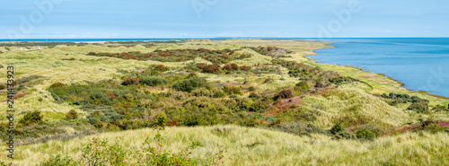 Panorama of dunes and Waddensea coast of nature reserve Het Oerd on West Frisian island Ameland, Friesland, Netherlands