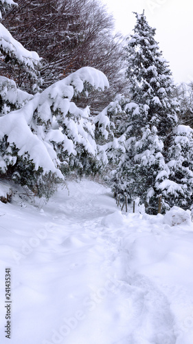 von vielem Schnee sieht man noch kaum den Waldweg © gleichpaul71
