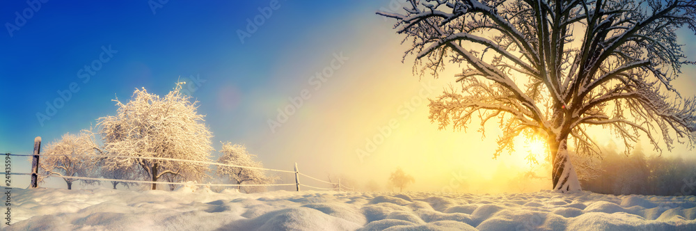 Fototapeta Panorama atmosferycznego zimowego krajobrazu