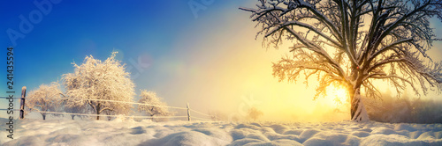 Panorama von stimmungsvoller Winterlandschaft