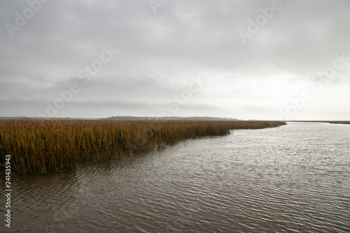 Estuary at Edisto Island photo