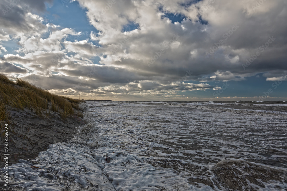 Fototapeta premium High tide on the Baltic coast (Darss peninsula)
