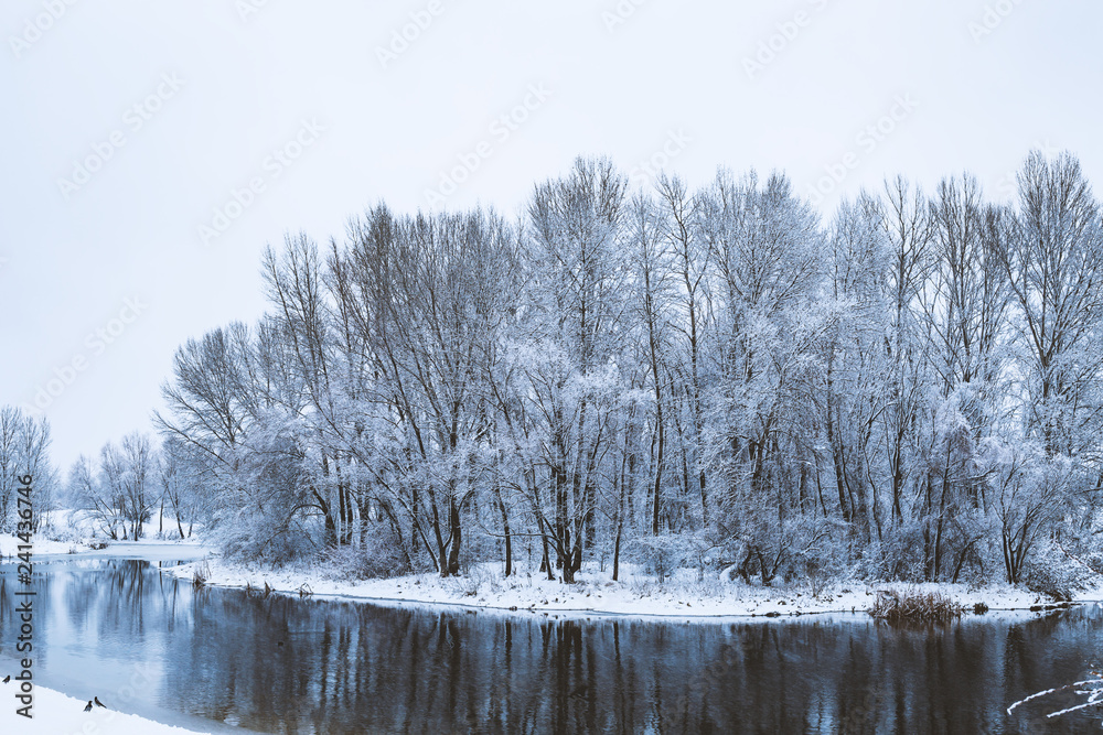 Obraz premium winter landscape