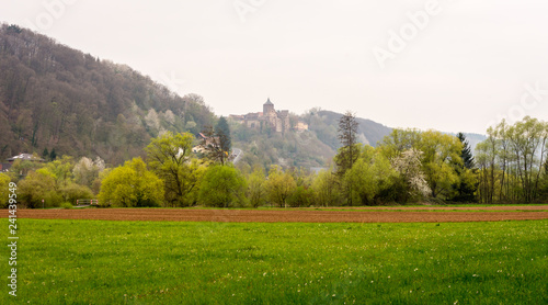Wertheimer Burg Wertheim am Main