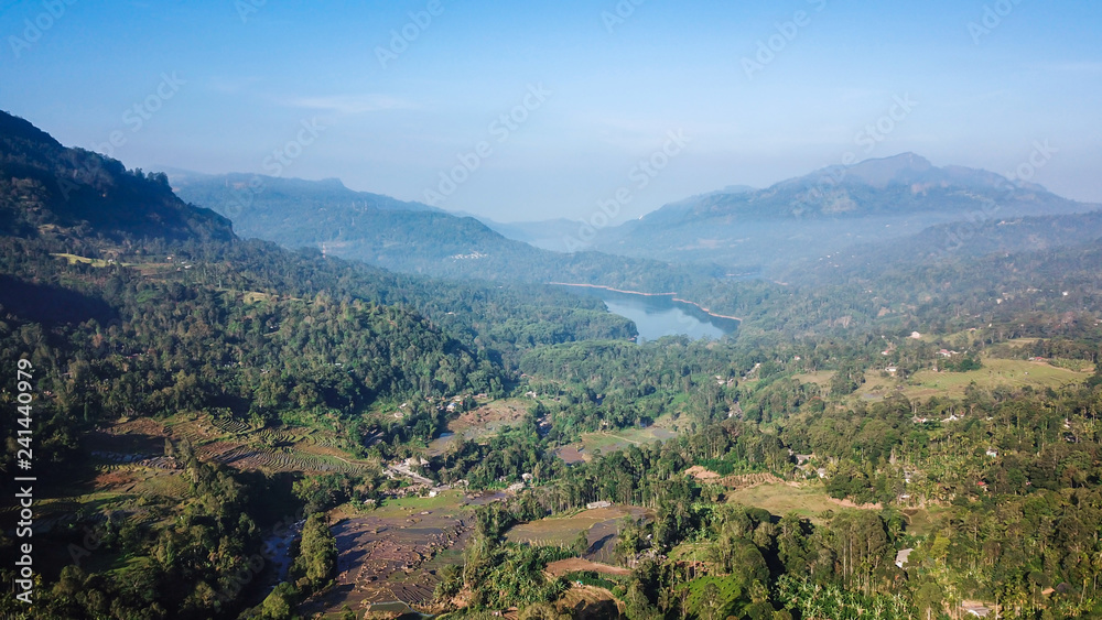 Forest with a river in Sri Lanka from the height of bird flight Forest with a river in Sri Lanka from the height of bird flight