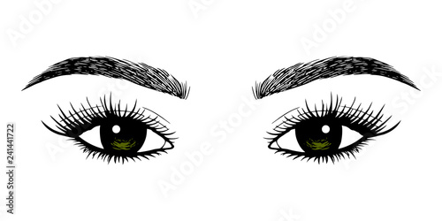 Woman eyes with long eyelashes. Hand drawn vector illustration. Eyelashes and eyebrows. Сoncept of eyelash extensions, microblading, mascara, beauty salon. Black eyes. Beauty and Fashion.