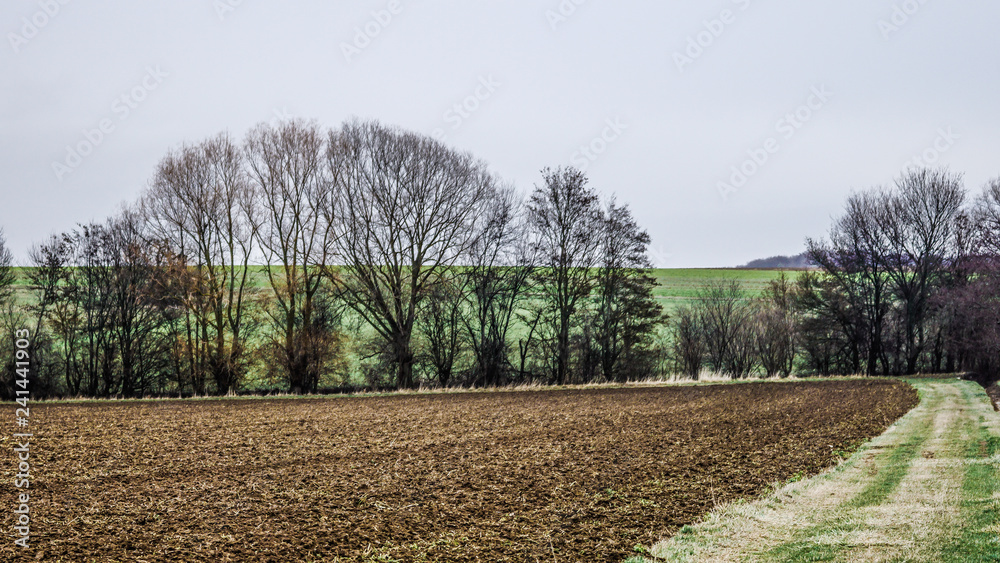 Obraz premium Landschfaft im Winter 