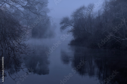 Foggy forest river at night