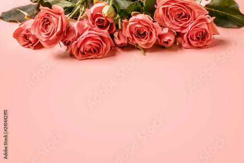 Pink card with delicate coral roses. Mother s Day concept