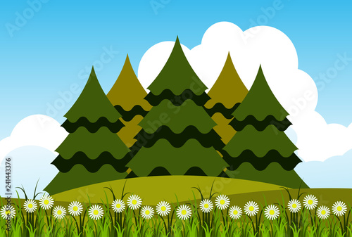 spring wood