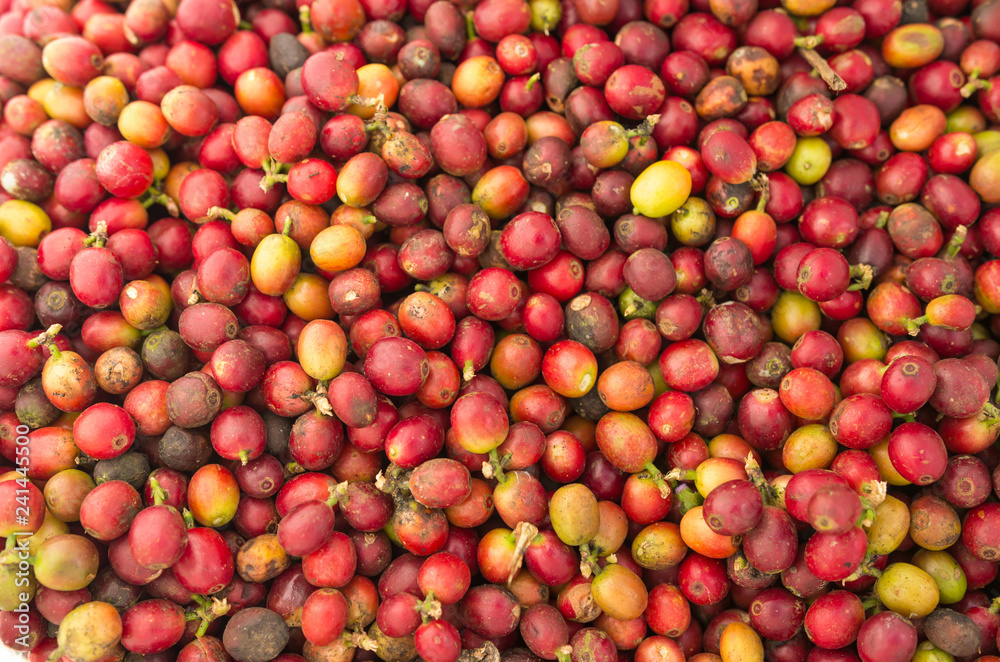 coffee background. coffee background.