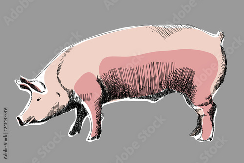 różowa świnka 01