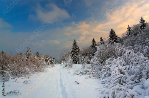 Snowy road in the forest with colorful sky