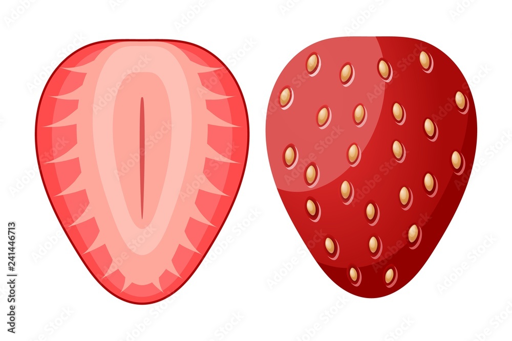 Ripe red strawberry berry two halves cut form on white background. Vector illustration of summer healthy vitamin food. Seasonal food, healthy food Ripe red strawberry berry two halves cut form on white background. Vector illustration of summer healthy vitamin food. Seasonal food, healthy food