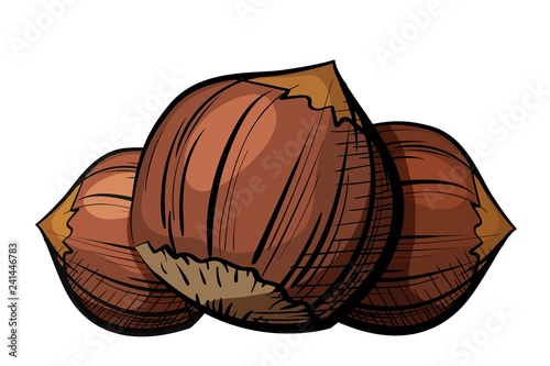 Color image of a group of edible chestnut nuts on a white background. Healthy and dietary food. The element of proper nutrition. Vector illustration of a walnut fruit
