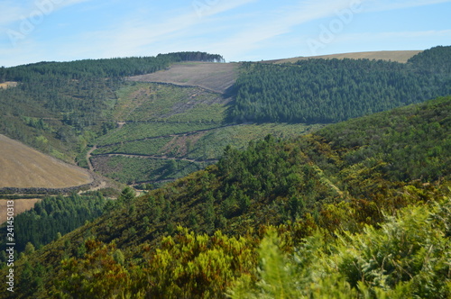 Wonderful Views Of The Mountains In The Background Se Limits With Asturias In The Countryside Of Galicia. Nature, Landscapes, Botany, Travel. August 2, 2015. Rebedul, Lugo, Galicia, Spain. photo