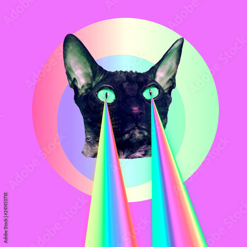 Fototapeta Modny kot z tęczowymi laserami z oczu. Minimalistyczny kolaż śmieszne sztuki
