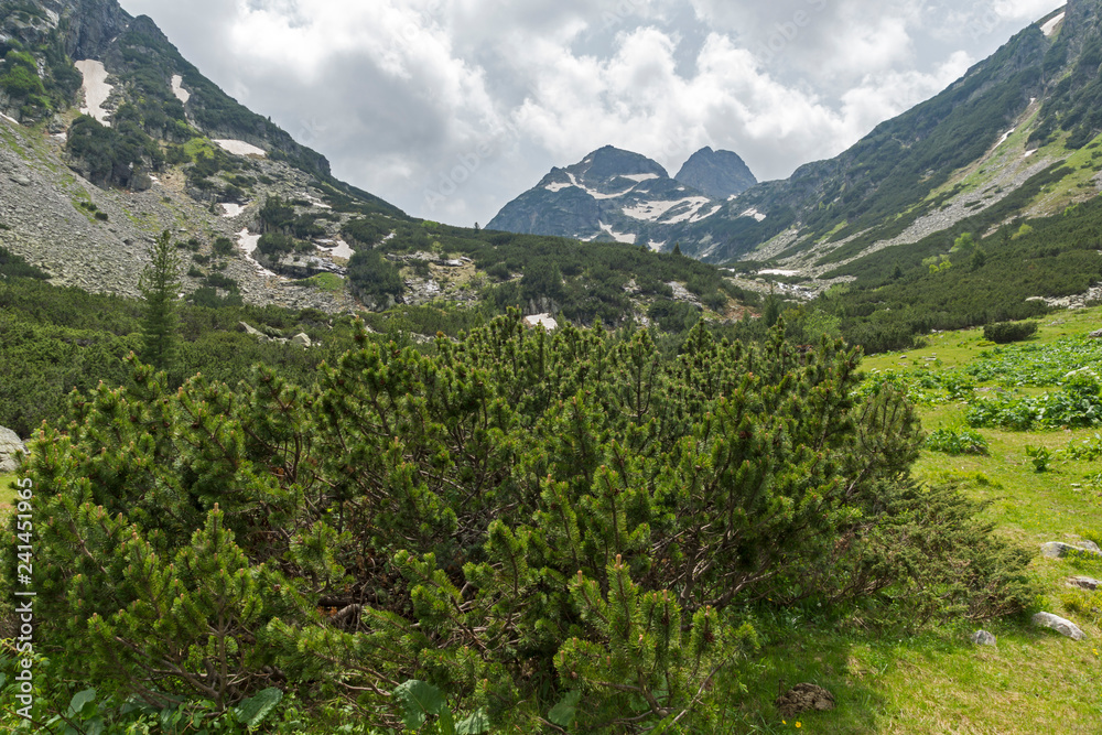 Fototapeta premium Summer landscape of Malyovitsa peak and Malyoviska river, Rila Mountain, Bulgaria