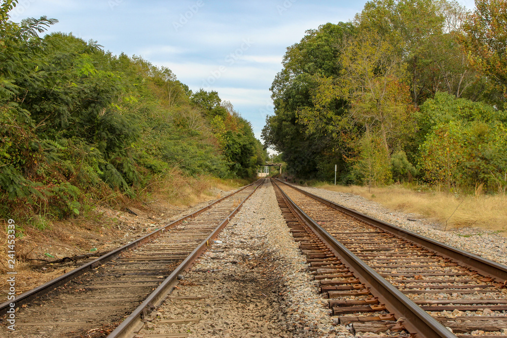 railway in the forest