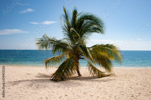 Fototapeta Naklejka Na Ścianę i Meble -  TRINIDAD -SEPTEMBER 2016- Appearance of Ancon Beach, on 2016. Ancon is located near Trinidad in front to Caribbean Sea.