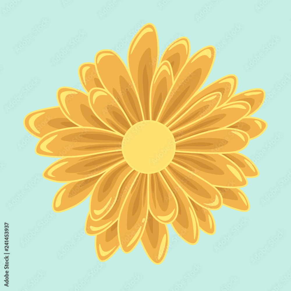Isolated orange flower. Single daisy flower Isolated orange flower. Single daisy flower
